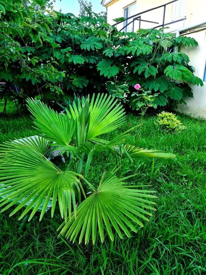 Private House Suliko Hotel Kobuleti Kültér fotó